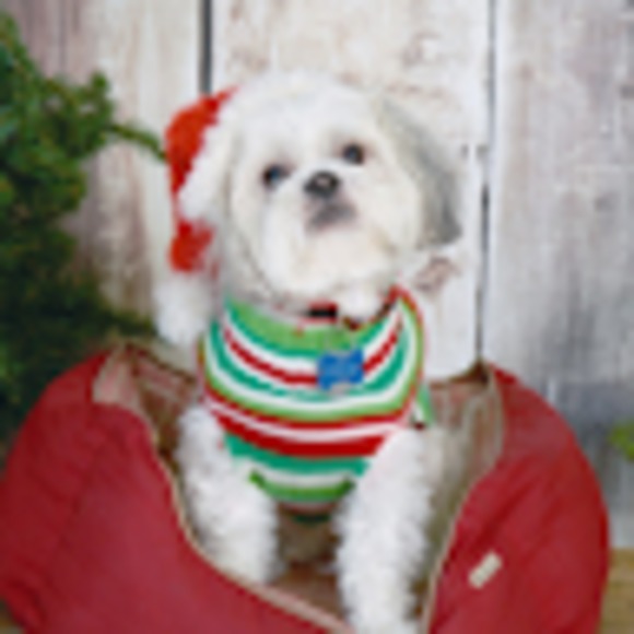 Meet your Posher, Stacy - Picture 1 of 1